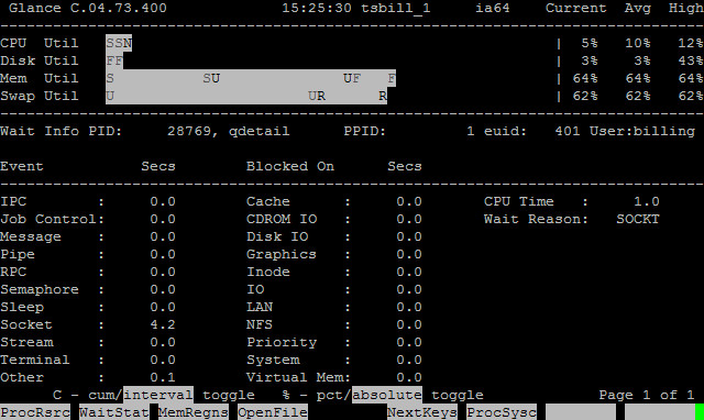 HP-UX在线性能监控工具GlancePlus介绍（二） - 王大头 - 王大头