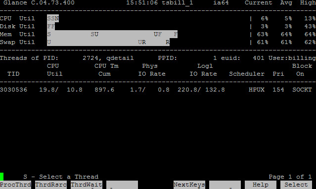 HP-UX在线性能监控工具GlancePlus介绍（二） - 王大头 - 王大头