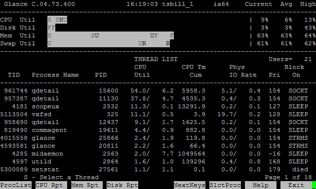 HP-UX在线性能监控工具GlancePlus介绍（二） - 王大头 - 王大头