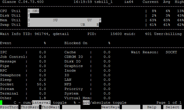 HP-UX在线性能监控工具GlancePlus介绍（二） - 王大头 - 王大头